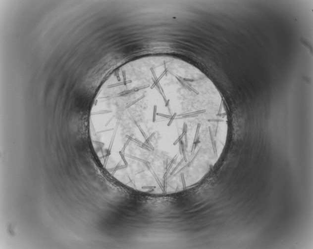 X0000103961225200810171854