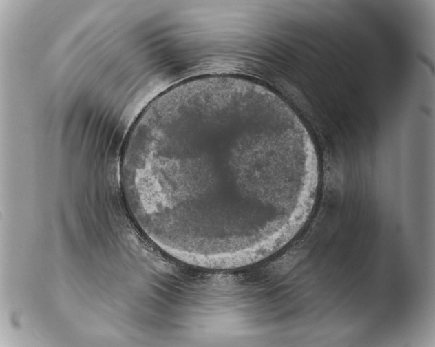 X0000103961226200810171854