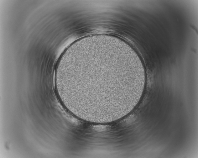 X0000103961227200810171855