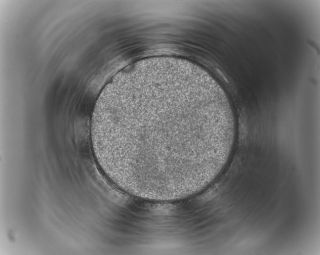 X0000103961233200810171855