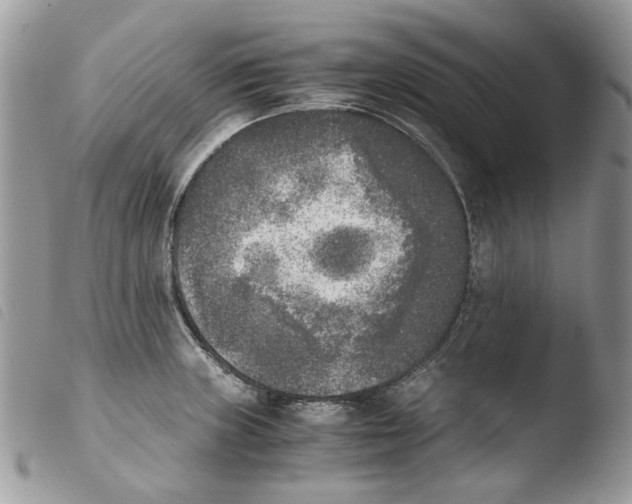 X0000103961235200810171855