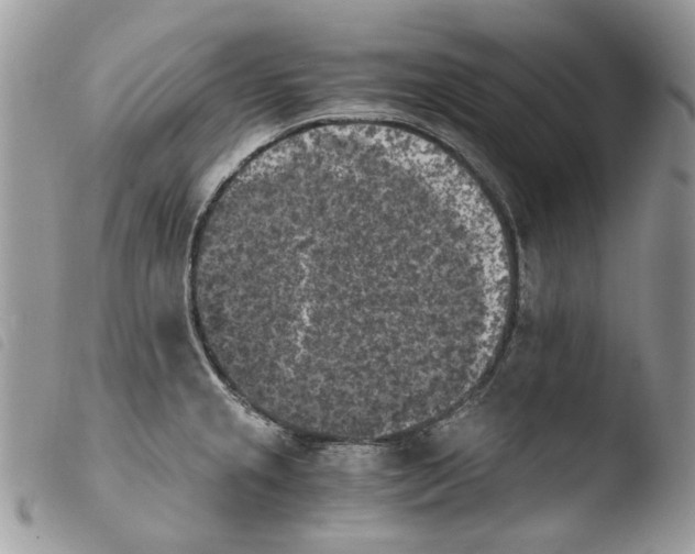 X0000103961237200810171855