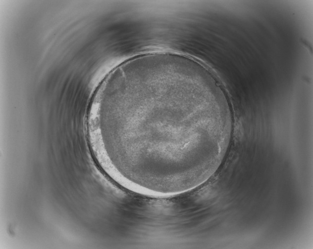 X0000103961239200810171855