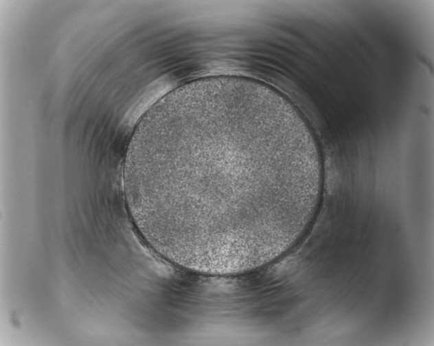 X0000103961241200810171855