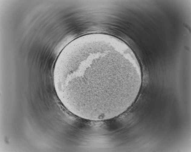 X0000103961242200810171855