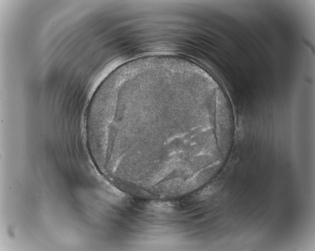 X0000103961243200810171855