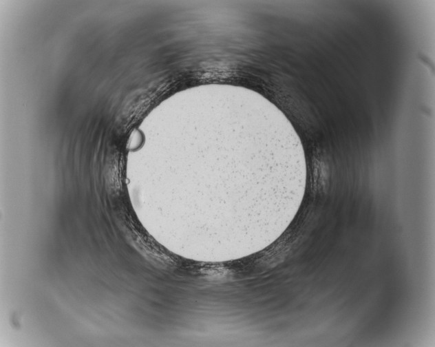 X0000103961250200810171854