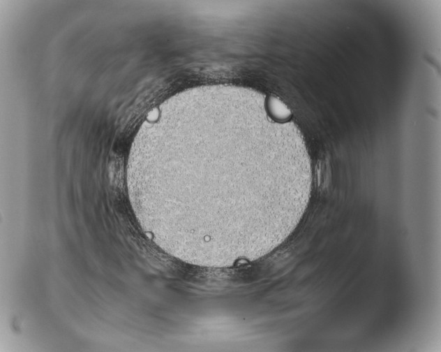 X0000103961251200810171854