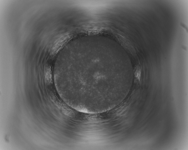 X0000103961252200810171854