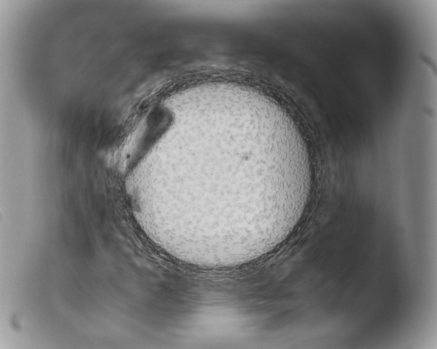 X0000103961253200810171854