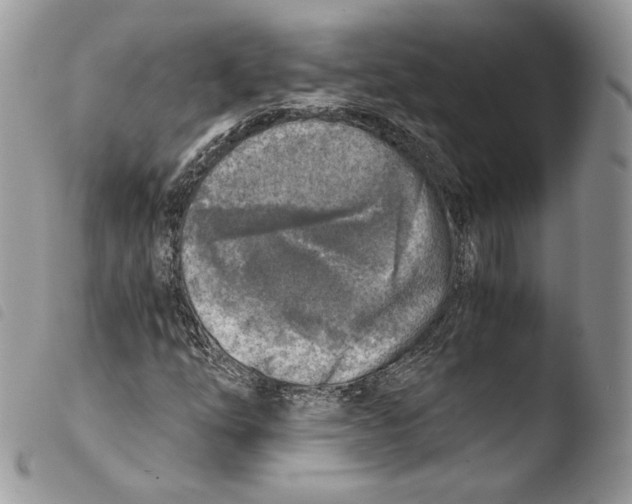 X0000103961254200810171854