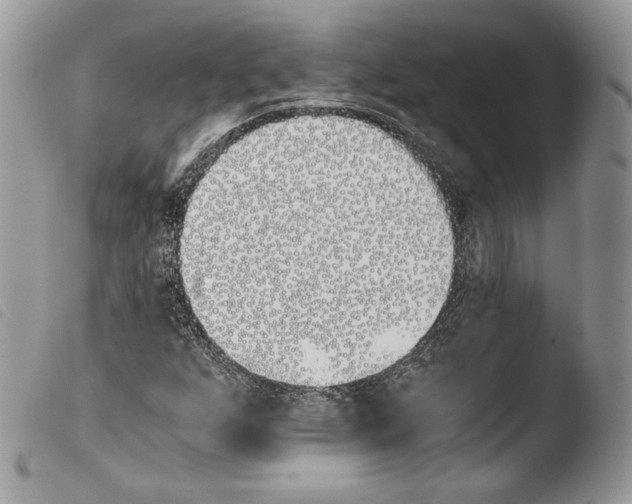 X0000103961255200810171854