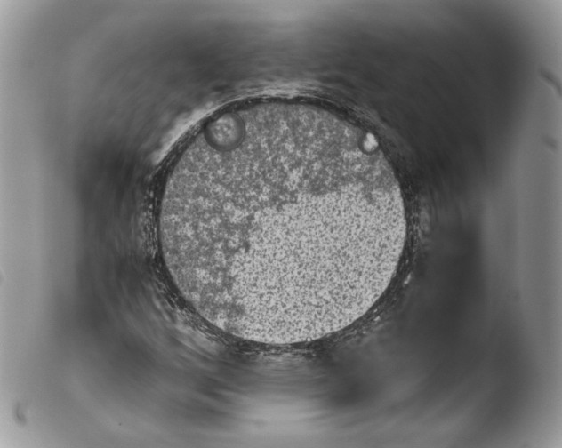 X0000103961256200810171854