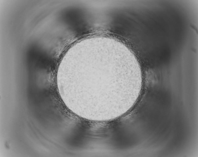 X0000103961257200810171854