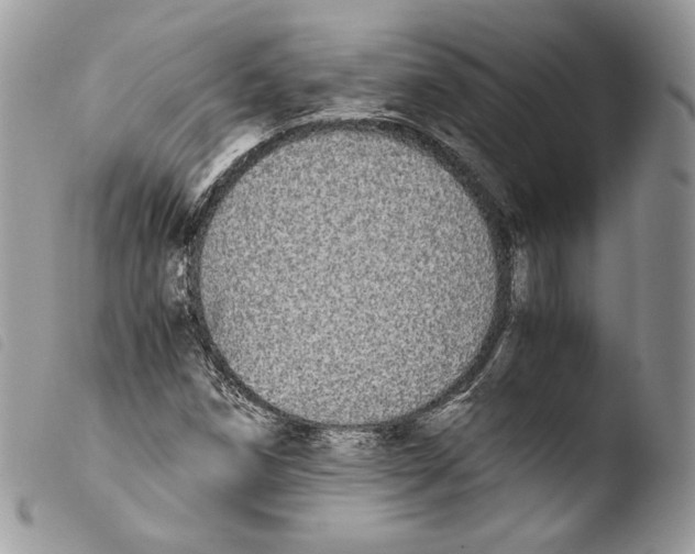 X0000103961258200810171854