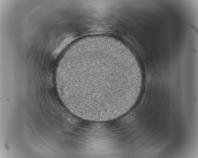 X0000103961259200810171854