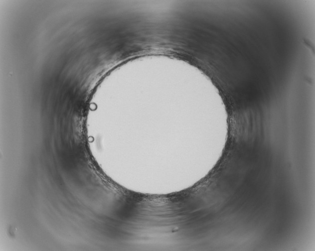 X0000103961260200810171854