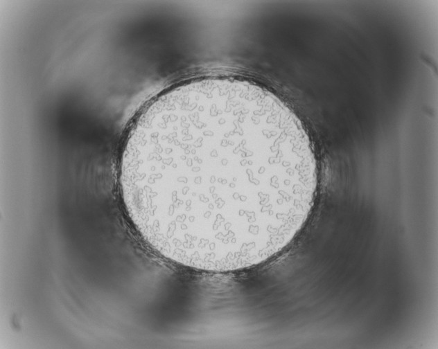 X0000103961261200810171854