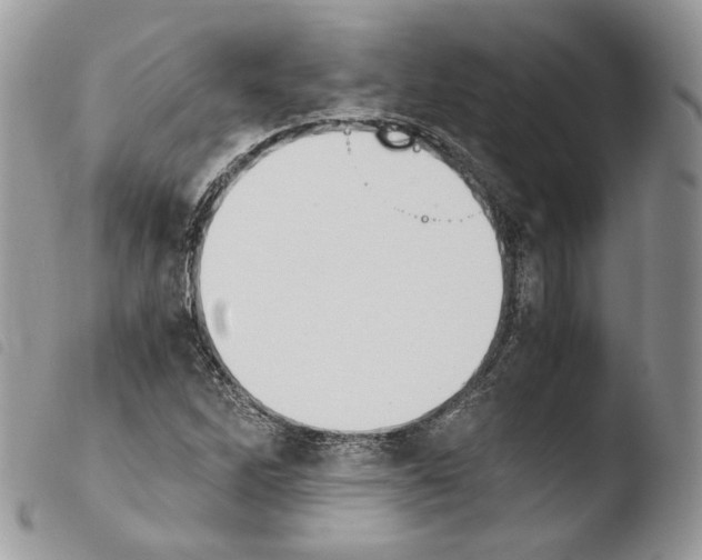 X0000103961262200810171854