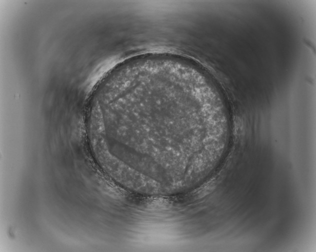 X0000103961263200810171854