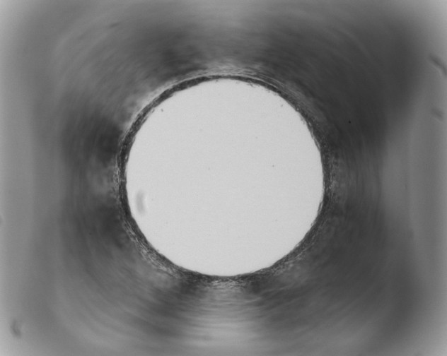 X0000103961264200810171854