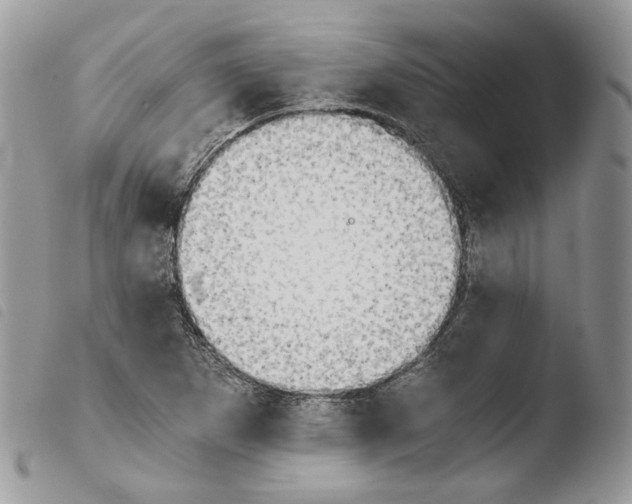 X0000103961265200810171854