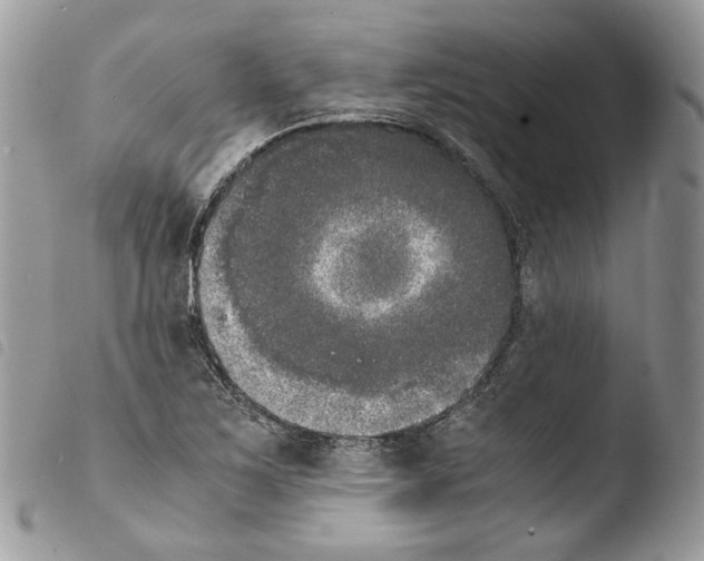 X0000103961267200810171854