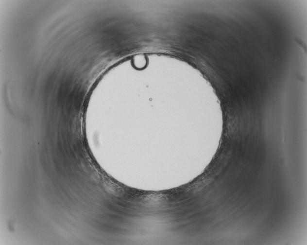 X0000103961268200810171854