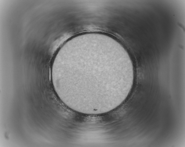 X0000103961269200810171854