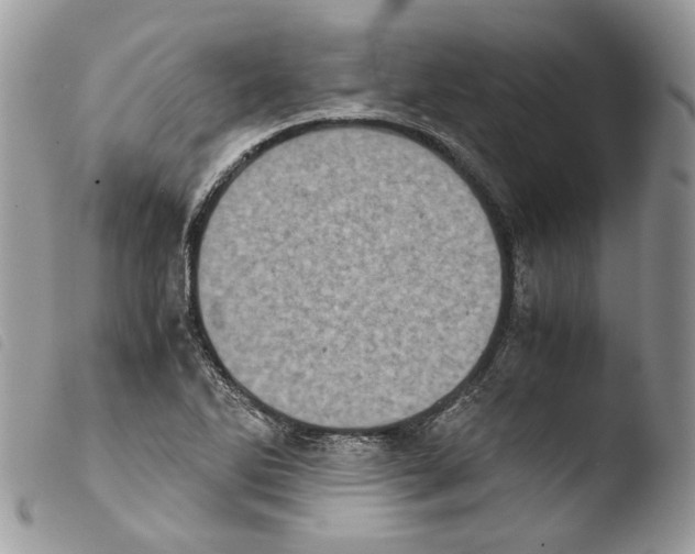 X0000103961270200810171854