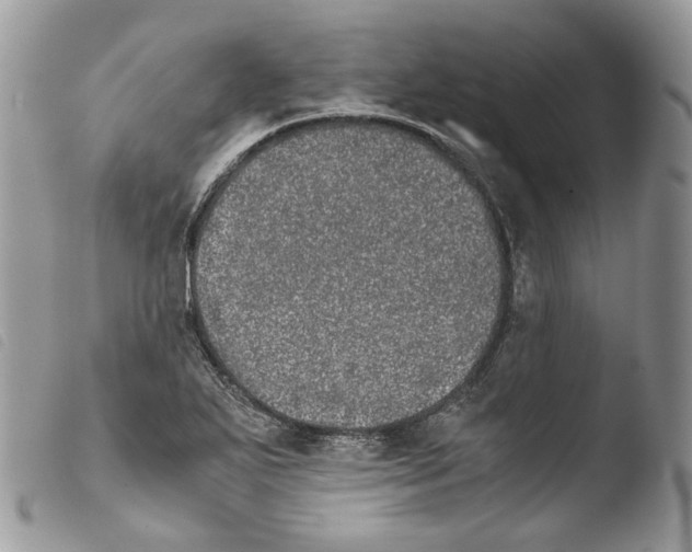 X0000103961271200810171854