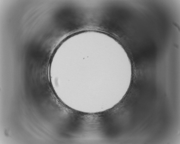 X0000103961272200810171854