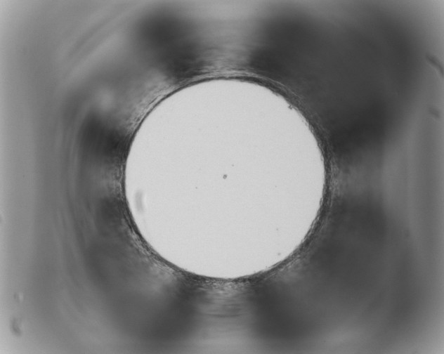 X0000103961273200810171854