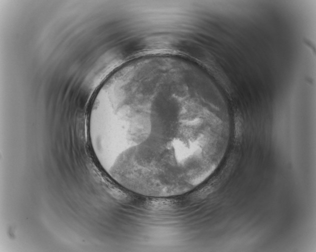 X0000103961274200810171854