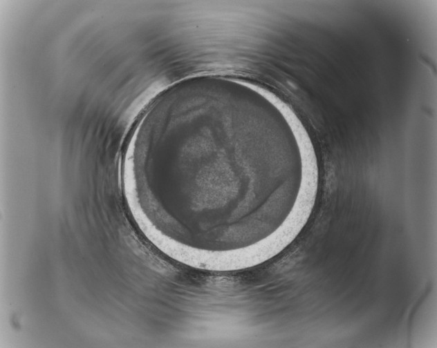 X0000103961275200810171854