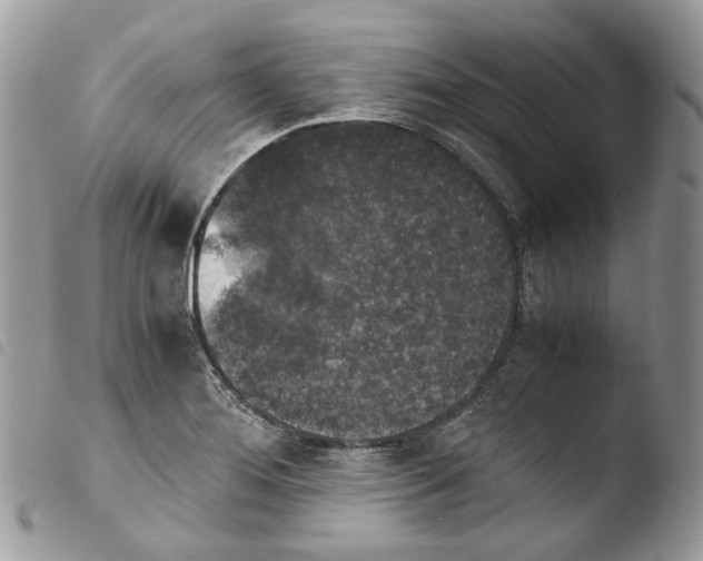 X0000103961276200810171854