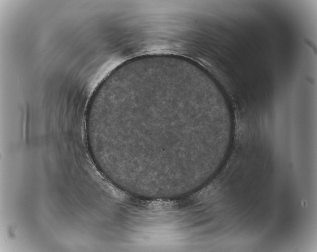 X0000103961277200810171854