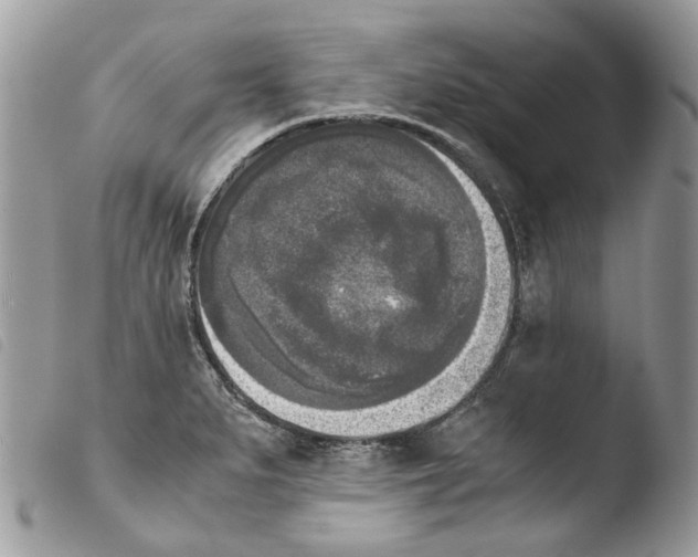 X0000103961279200810171854