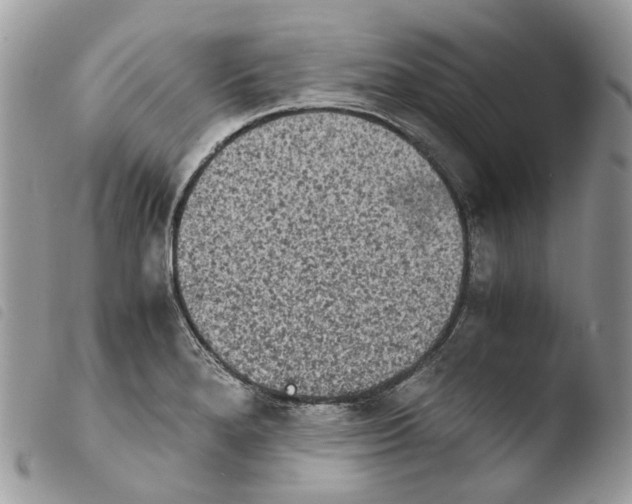 X0000103961280200810171854