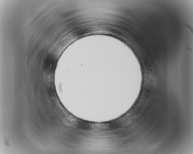 X0000103961281200810171854