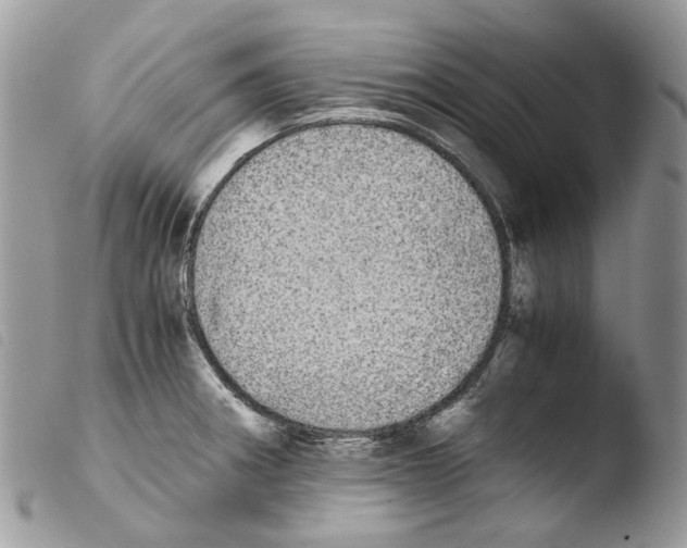 X0000103961282200810171854