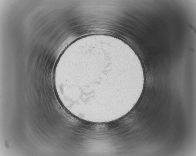 X0000103961283200810171854