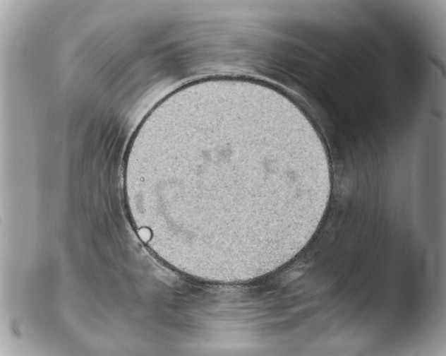 X0000103961287200810171853