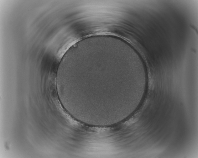 X0000103961289200810171853