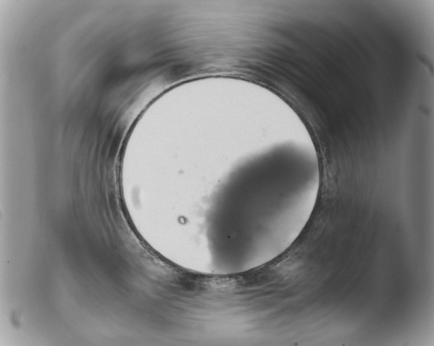 X0000103961291200810171853