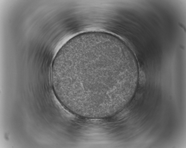 X0000103961295200810171853