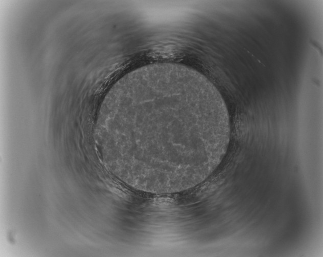 X0000103961297200810171852