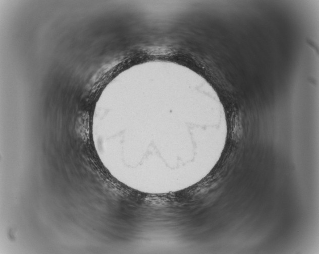 X0000103961301200810171853