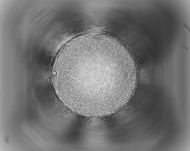 X0000103961308200810171853