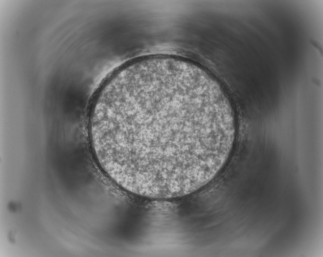 X0000103961312200810171853